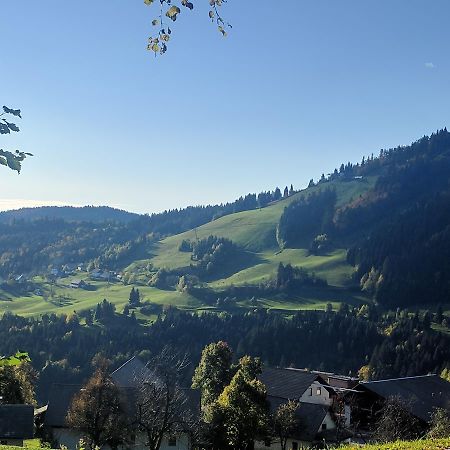 Gostisce In Penzion Stari Vrh Поляне-над-Шкофьё-Локо Экстерьер фото